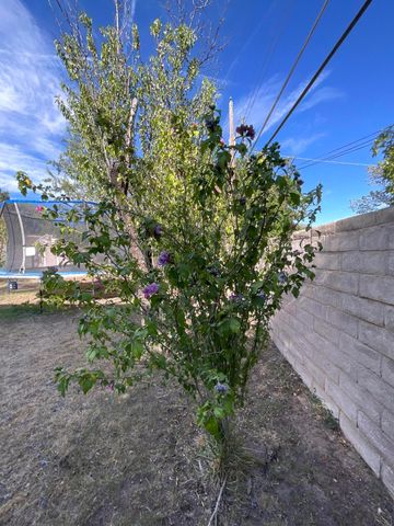 3608 General Patch Street NE, Albuquerque, NM 87111
