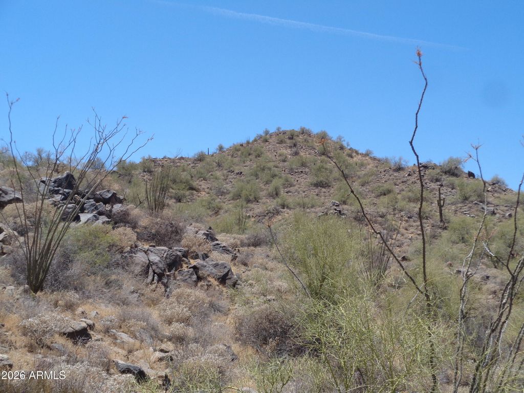 15518 N JAVELINA Trail 214, Fountain Hills, AZ 85268 — photo 5