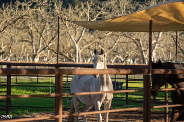 8669 Santa Rosa Road, Buellton, CA 93427