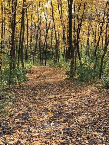 7243 Hazelwood Avenue, Northfield, MN 55057