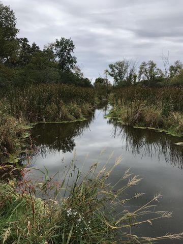 7243 Hazelwood Avenue, Northfield, MN 55057