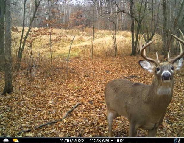 7243 Hazelwood Avenue, Northfield, MN 55057