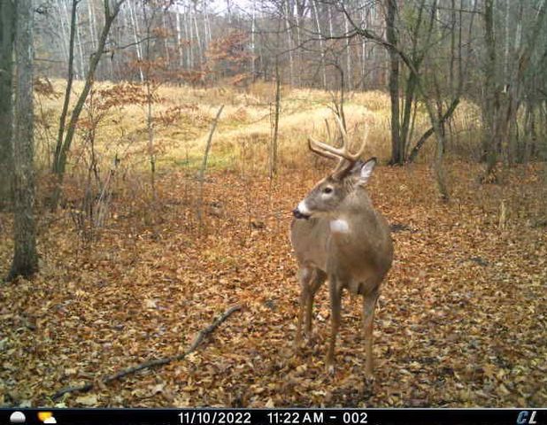 7243 Hazelwood Avenue, Northfield, MN 55057