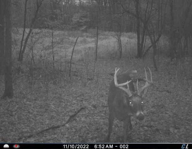 7243 Hazelwood Avenue, Northfield, MN 55057