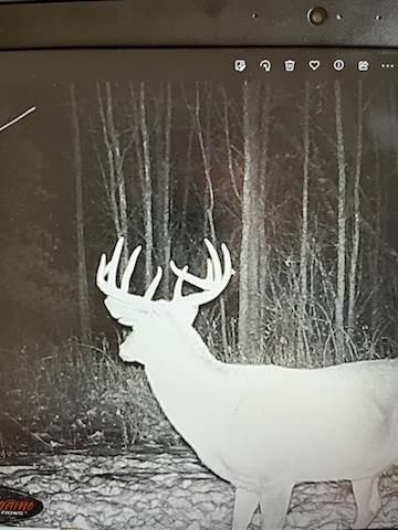 7243 Hazelwood Avenue, Northfield, MN 55057