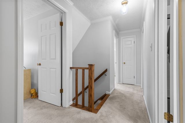 1105 Rial Dr, Bethel Park, PA 15102