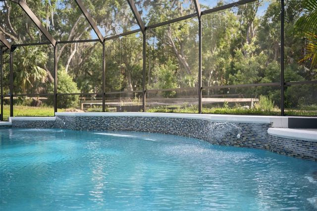 1244 ELYSIUM BOULEVARD, Mount Dora, FL 32757