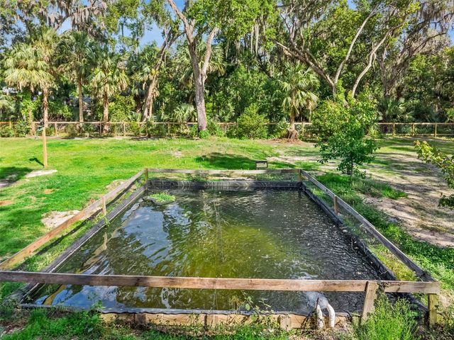 1244 ELYSIUM BOULEVARD, Mount Dora, FL 32757