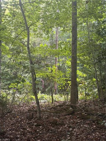 Lot 5 Edgewood Road, Wilkesboro, NC 28697