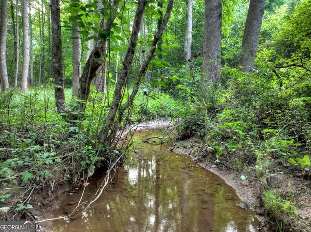 219 Staurolite Mountain Road, Blue Ridge, GA 30513
