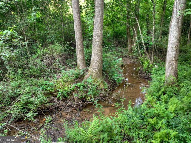 219 Staurolite Mountain Road, Blue Ridge, GA 30513