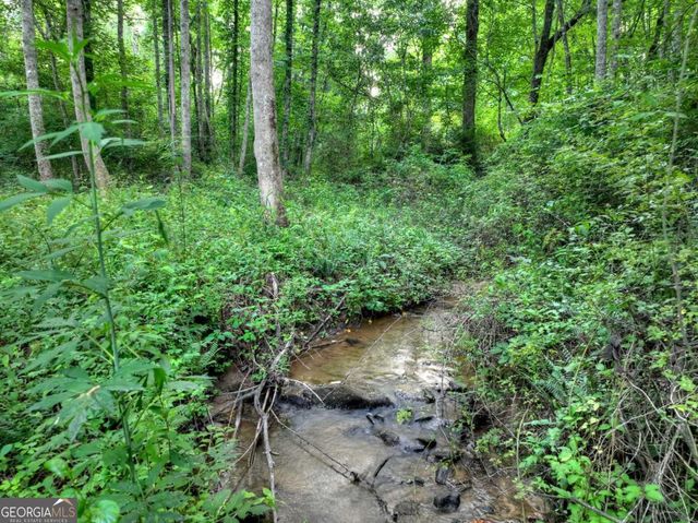 219 Staurolite Mountain Road, Blue Ridge, GA 30513