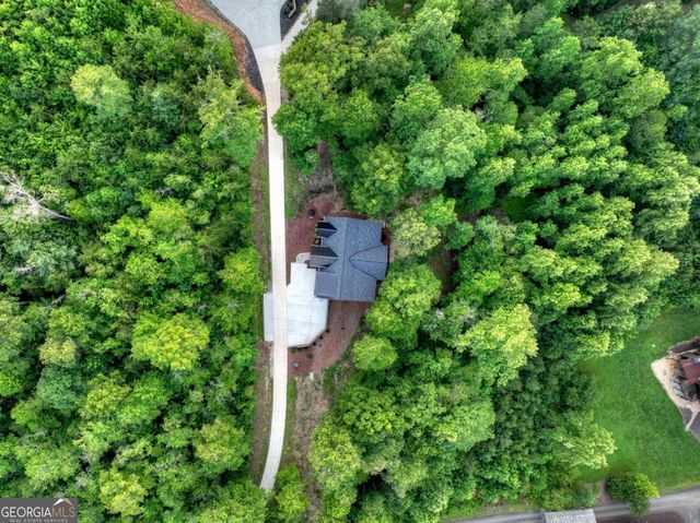 219 Staurolite Mountain Road, Blue Ridge, GA 30513