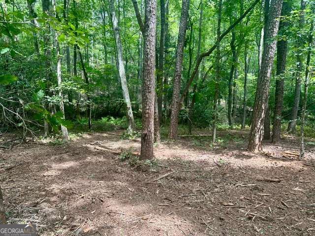 130 Patriot View Drive, Dahlonega, GA 30533