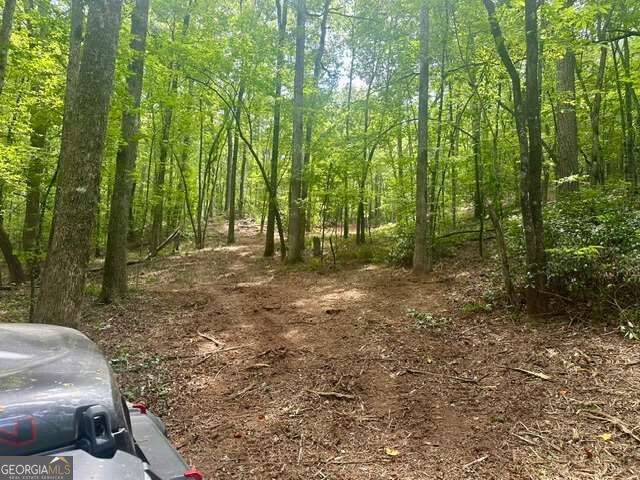 130 Patriot View Drive, Dahlonega, GA 30533