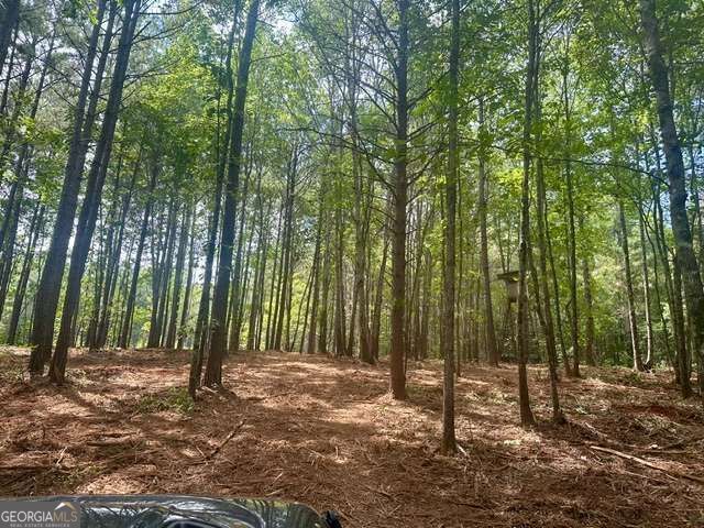 130 Patriot View Drive, Dahlonega, GA 30533