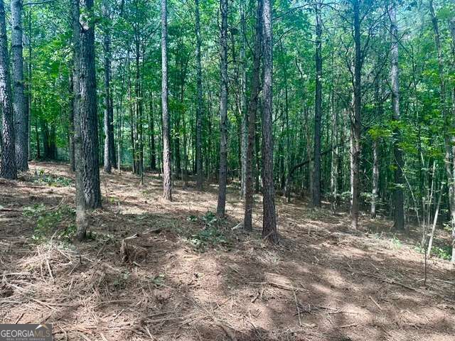 130 Patriot View Drive, Dahlonega, GA 30533
