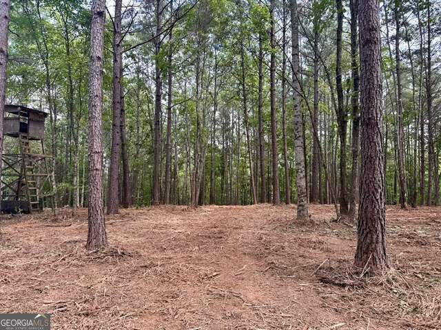 130 Patriot View Drive, Dahlonega, GA 30533