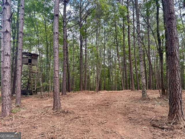 130 Patriot View Drive, Dahlonega, GA 30533