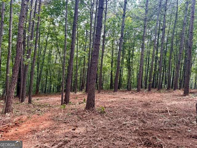 130 Patriot View Drive, Dahlonega, GA 30533