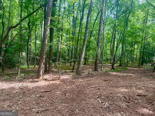 130 Patriot View Drive, Dahlonega, GA 30533