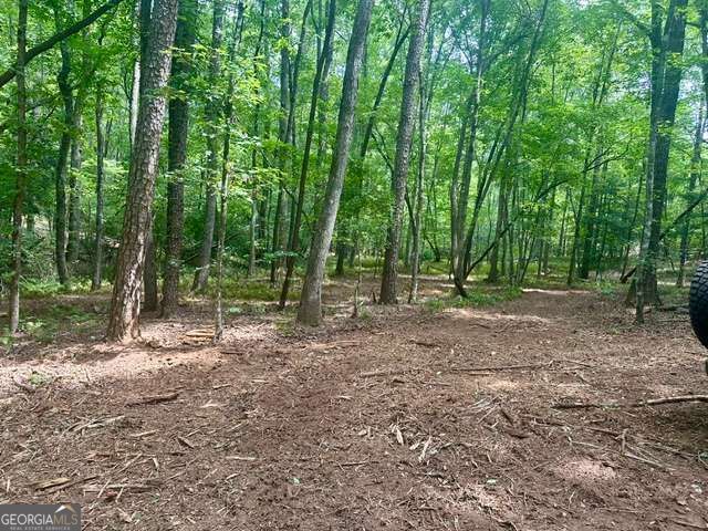 130 Patriot View Drive, Dahlonega, GA 30533