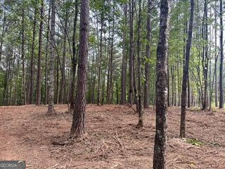 130 Patriot View Drive, Dahlonega, GA 30533