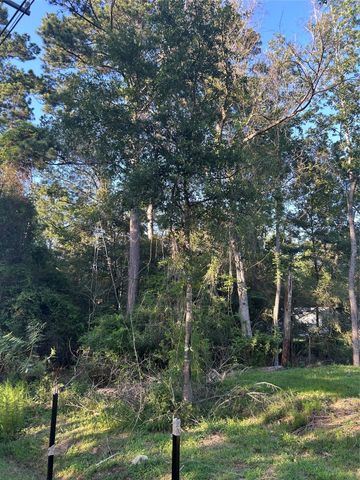 13881 Park Ave, Conroe, TX 77384