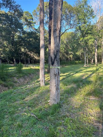 13881 Park Ave, Conroe, TX 77384