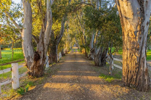 1519 Ayers Avenue, Ojai, CA 93023