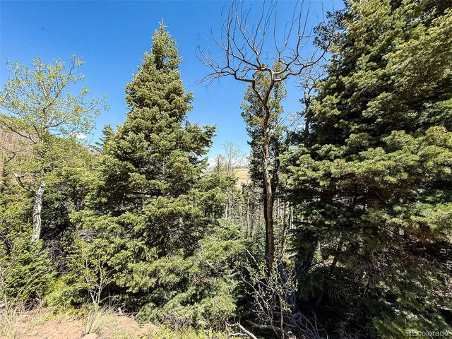 2348 Benton Place, Fort Garland, CO 81133