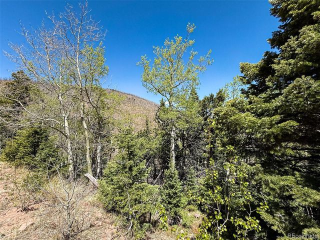 2348 Benton Place, Fort Garland, CO 81133