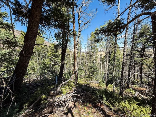 2348 Benton Place, Fort Garland, CO 81133
