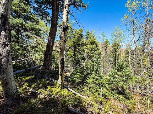 2348 Benton Place, Fort Garland, CO 81133