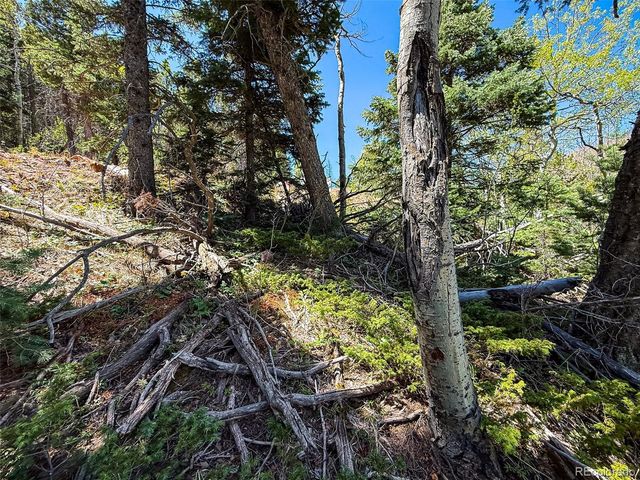 2348 Benton Place, Fort Garland, CO 81133