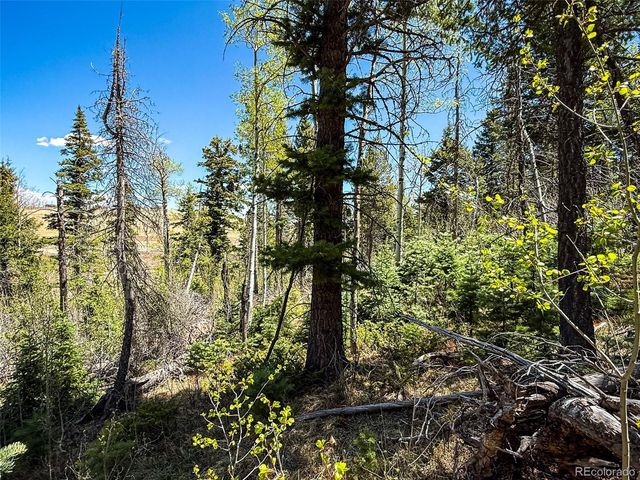 2348 Benton Place, Fort Garland, CO 81133