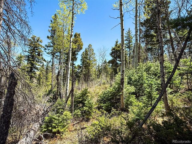2348 Benton Place, Fort Garland, CO 81133