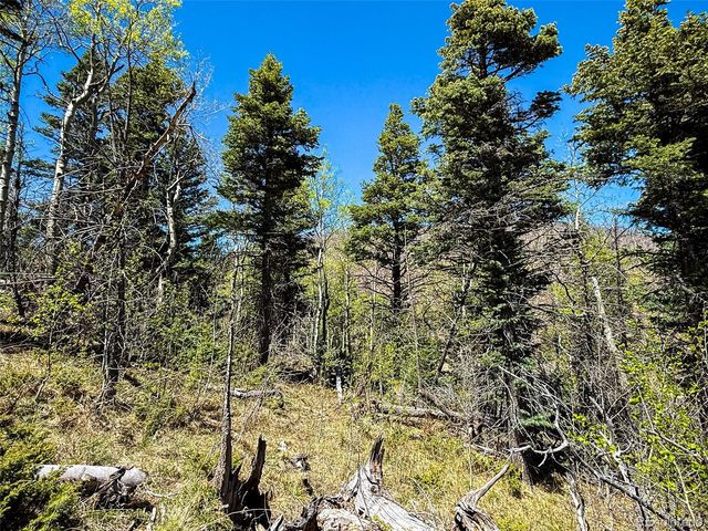 2348 Benton Place, Fort Garland, CO 81133