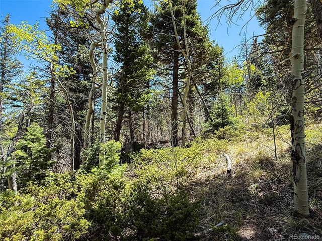 2348 Benton Place, Fort Garland, CO 81133