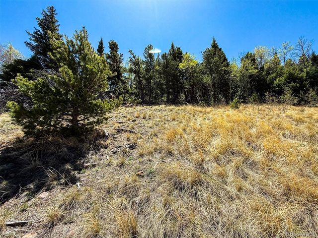 2348 Benton Place, Fort Garland, CO 81133