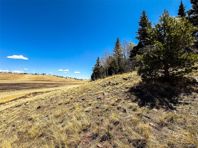 2348 Benton Place, Fort Garland, CO 81133