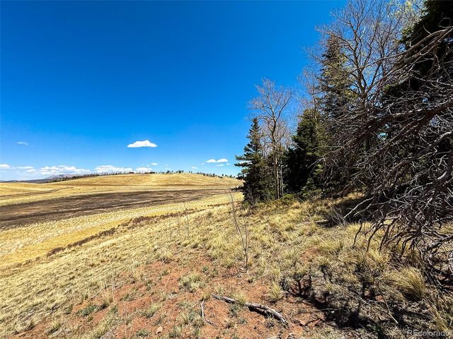 2348 Benton Place, Fort Garland, CO 81133