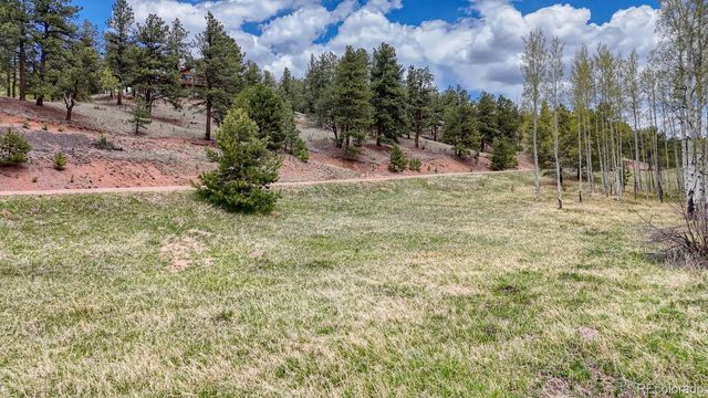 42 Rabbit Circle, Florissant, CO 80816