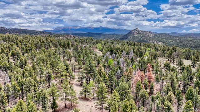 42 Rabbit Circle, Florissant, CO 80816