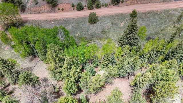 42 Rabbit Circle, Florissant, CO 80816