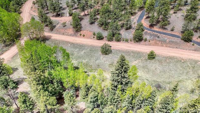 42 Rabbit Circle, Florissant, CO 80816
