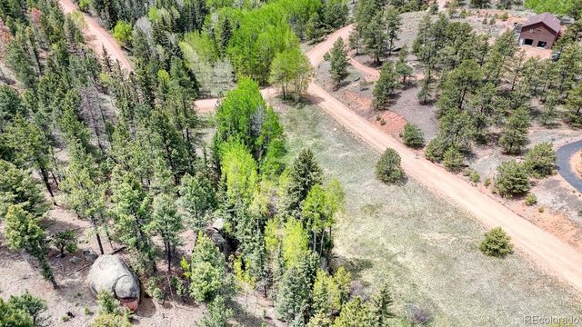 42 Rabbit Circle, Florissant, CO 80816