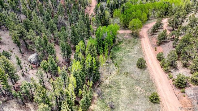 42 Rabbit Circle, Florissant, CO 80816