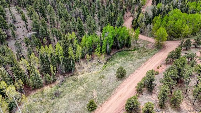 42 Rabbit Circle, Florissant, CO 80816