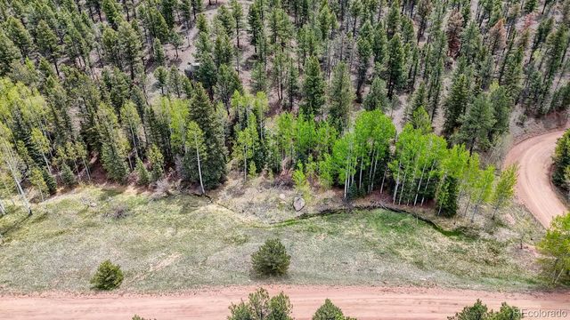 42 Rabbit Circle, Florissant, CO 80816